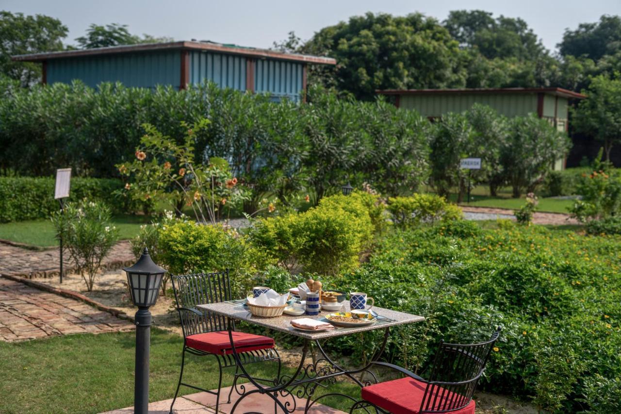 Hotel Tree Of Life Ecotainers Agra Agra  Exterior foto